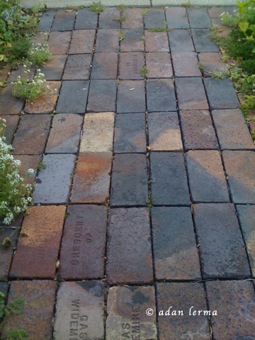 Bricks, the Spaces Between the Paths