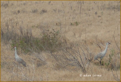 "I" Parked it? Didn't You Park It?