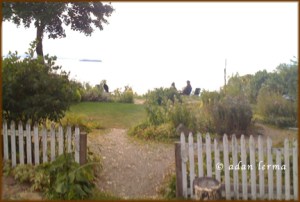 Heart Beats by the Lake Heart Beats by the Lake