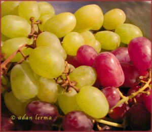 Grapes - Distinct and Similar