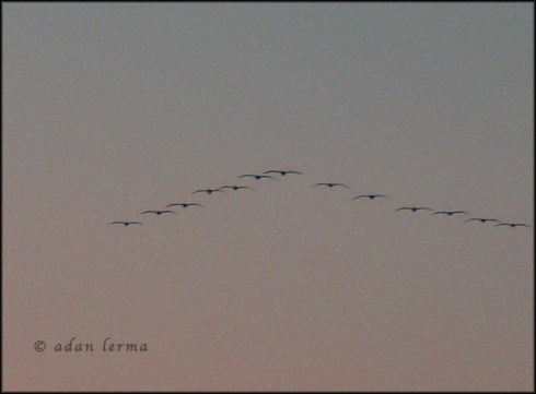 Just Breathe, Original Photography by Adan Lerma
