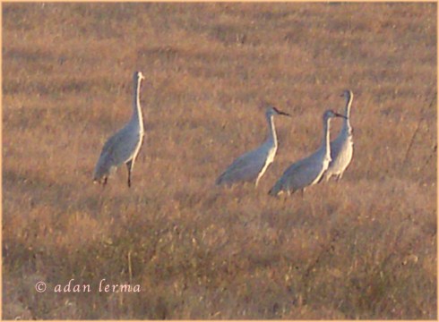 i "love" this time of day! i "love" this time of day!