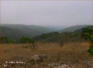 Roadside View, a Little Clearer