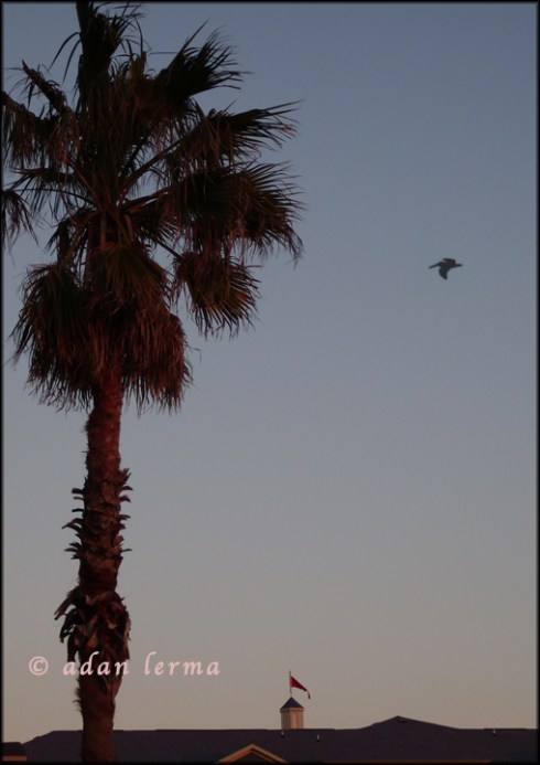 Time for Home Time for Home, Original Photography by Adan Lerma