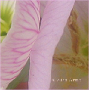 Details # 1 Mind-Body Connection