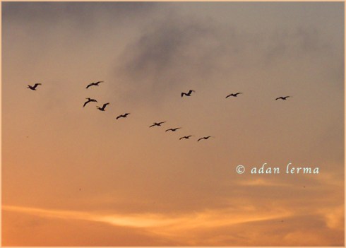 So Long Galveston, It Was a Good One ;-)