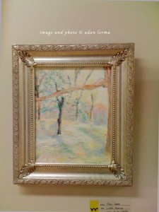 Winter Morning, Zilker Park