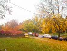 Autumn Leaves Topper Full Size