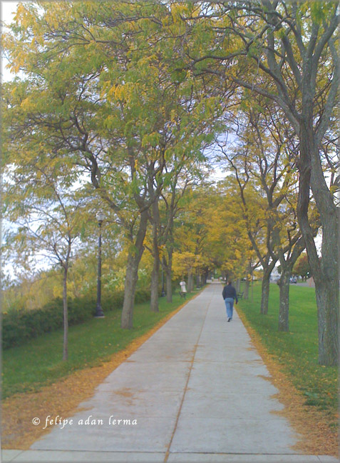 Autumn Walk Along Battery Street