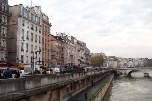 View of Left Bank Buildings from Pont Saint-Michel