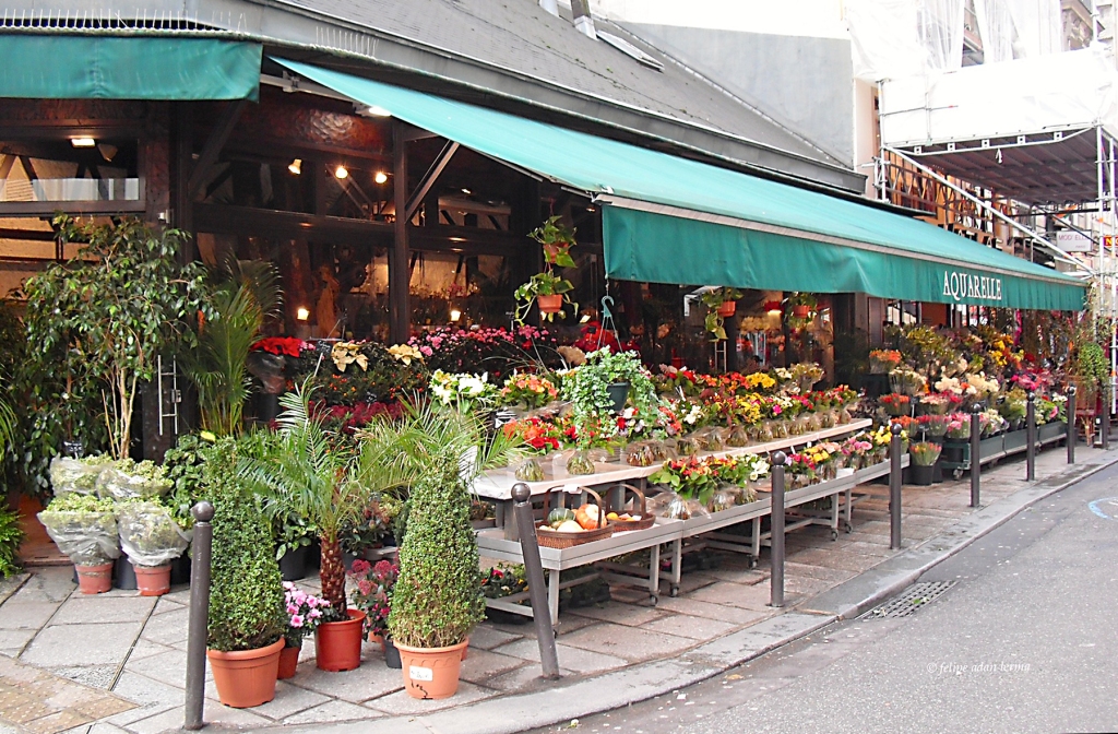 Flower Shop Rue Saint-Andre des Arts