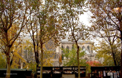 Notre Dame View from Comme Chai Toi