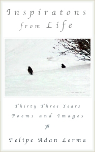 Inspirations from Life - Thirty Three Years of Poems and Images