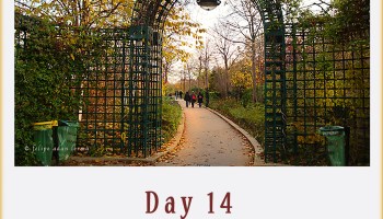 Paris in 5 1-2 Weeks Day 14 med