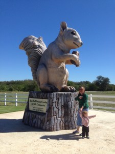 max shiela squirrel IMG_5114