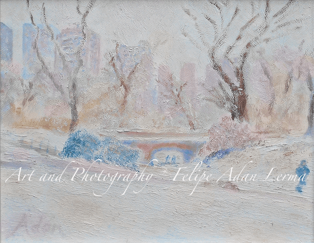 Central Park Record Early March Cold Circa 2007 WP @Felipe Adan Lerma