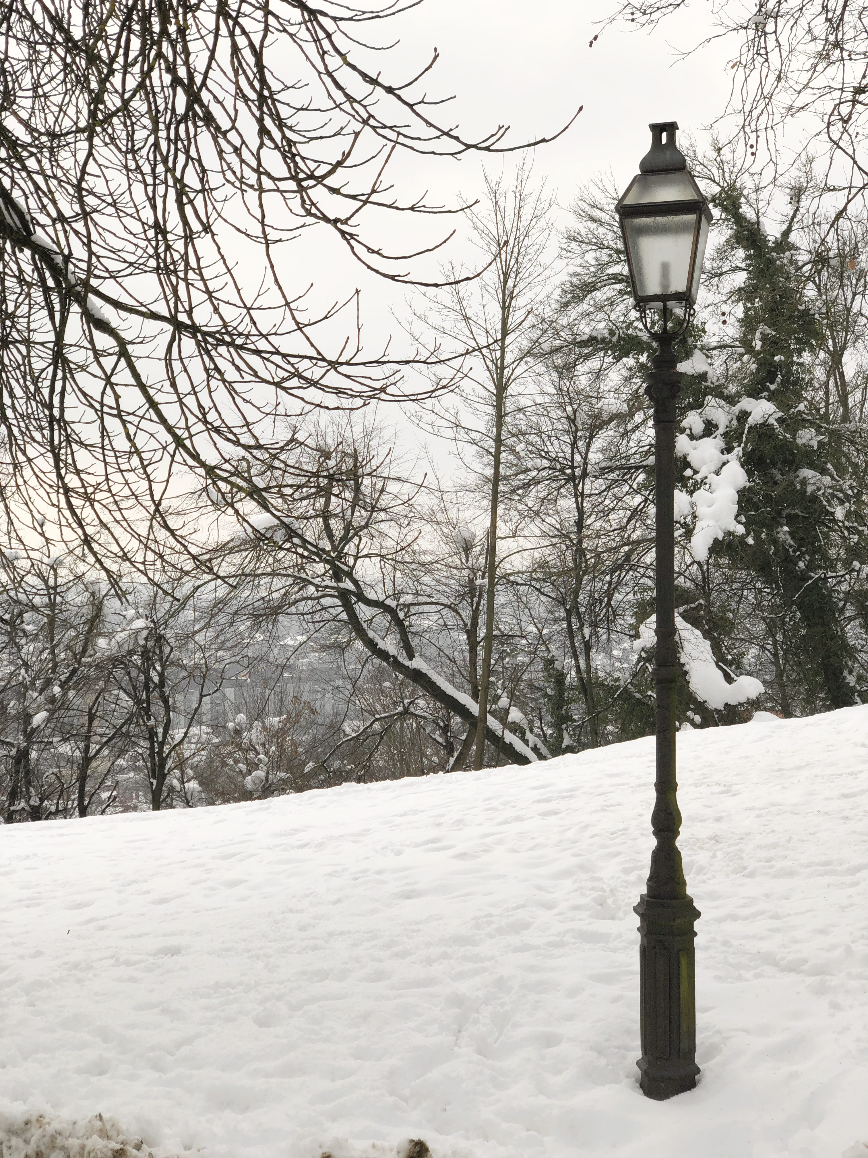 Processed With Darkroom