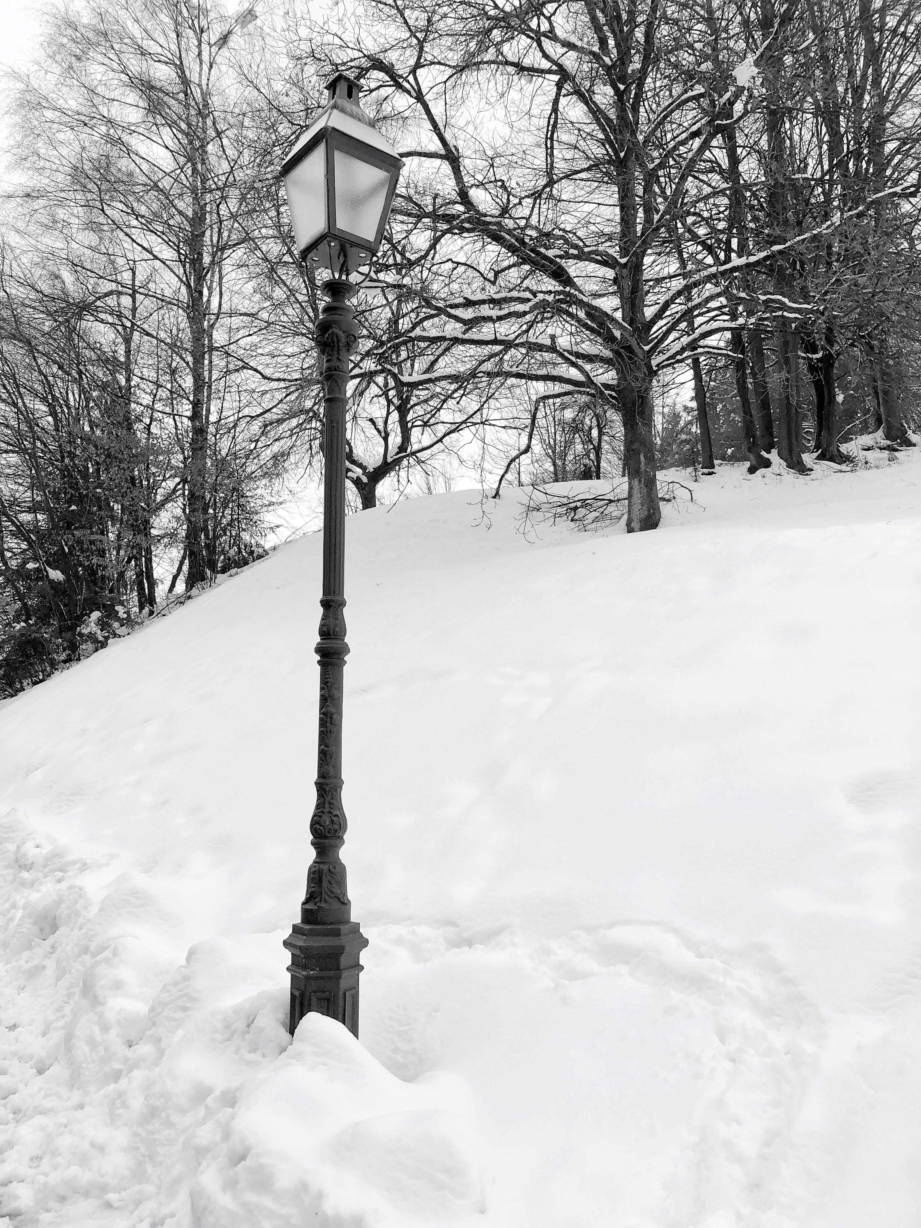 Processed With Darkroom