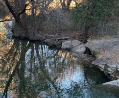 Autumn Austin Along Lady Bird Lake, Vertical version ©Felipe Adan Lerma