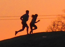 Runners cresting the hill © Felipe Adan Lerma - https://fineartamerica.com/featured/birds-and-fun-at-butler-park-austin-jogging-sunset-run-felipe-adan-lerma.html