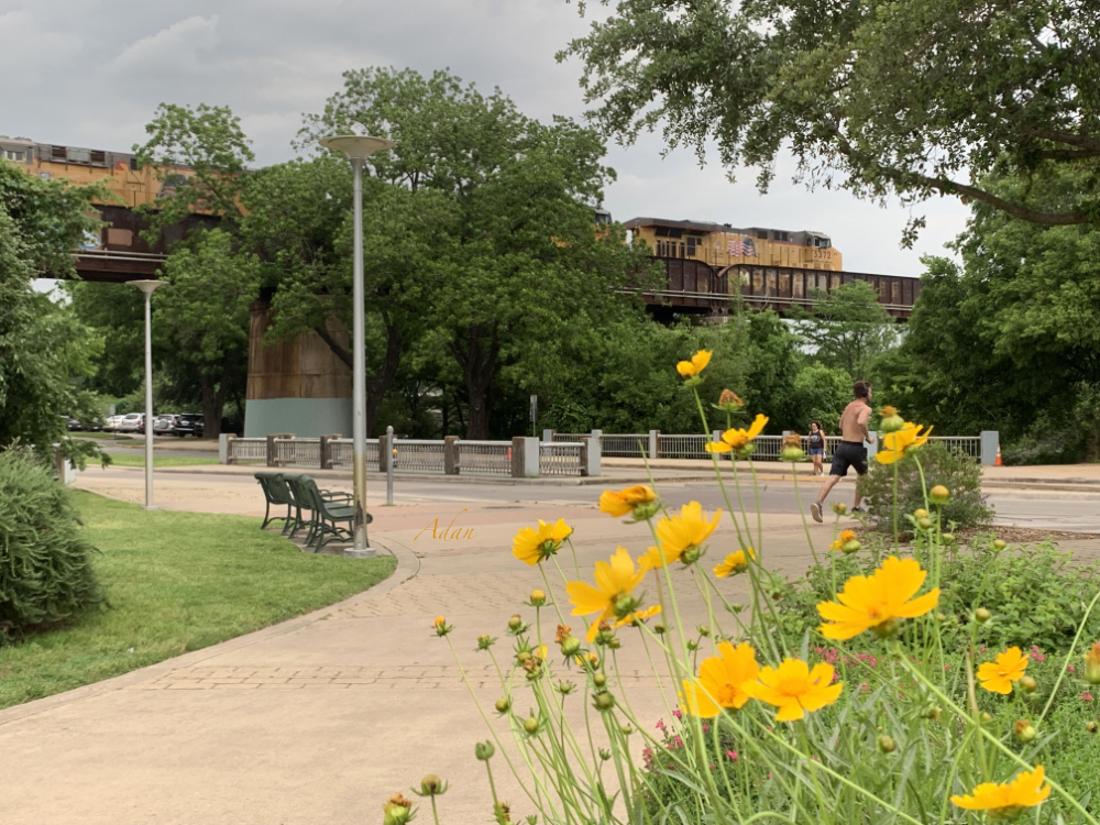 Urban Pathways Butler Park At Austin Hike And Bike Trail With Train
© Felipe Adan Lerma
https://fineartamerica.com/featured/urban-pathways-butler-park-at-austin-hike-and-bike-trail-with-train-felipe-adan-lerma.html?newartwork=true