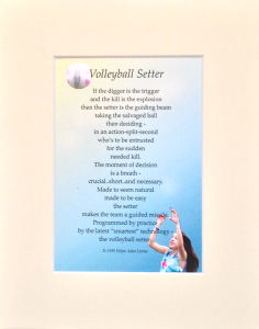 volleyball setter with mat