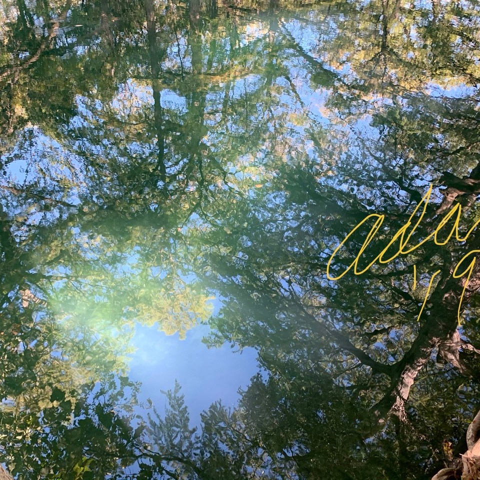 Blue Hole Wimberley Texas - ©Felipe Adan Lerma