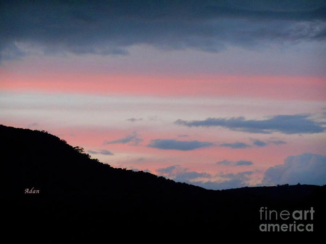 Texas Hill Country Salute From The Fig Preserve ©Felipe Adan Lerma https://fineartamerica.com/featured/texas-hill-country-salute-from-the-fig-preserve-felipe-adan-lerma.html
