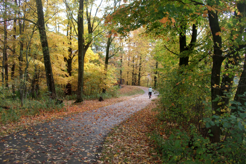 Autumn Bicycling ©Felipe Adan Lerma https://fineartamerica.com/featured/autumn-bicycling-felipe-adan-lerma.html