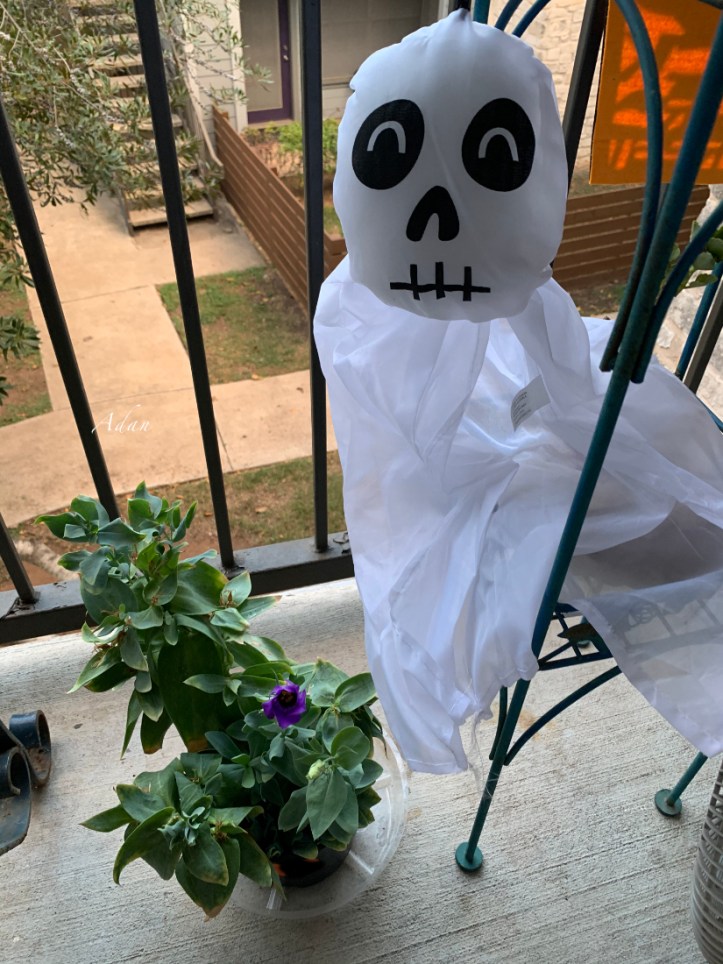 Mid-October Halloween Guest ©Felipe Adan Lerma https://fineartamerica.com/featured/mid-october-halloween-guest-felipe-adan-lerma.html?newartwork=true