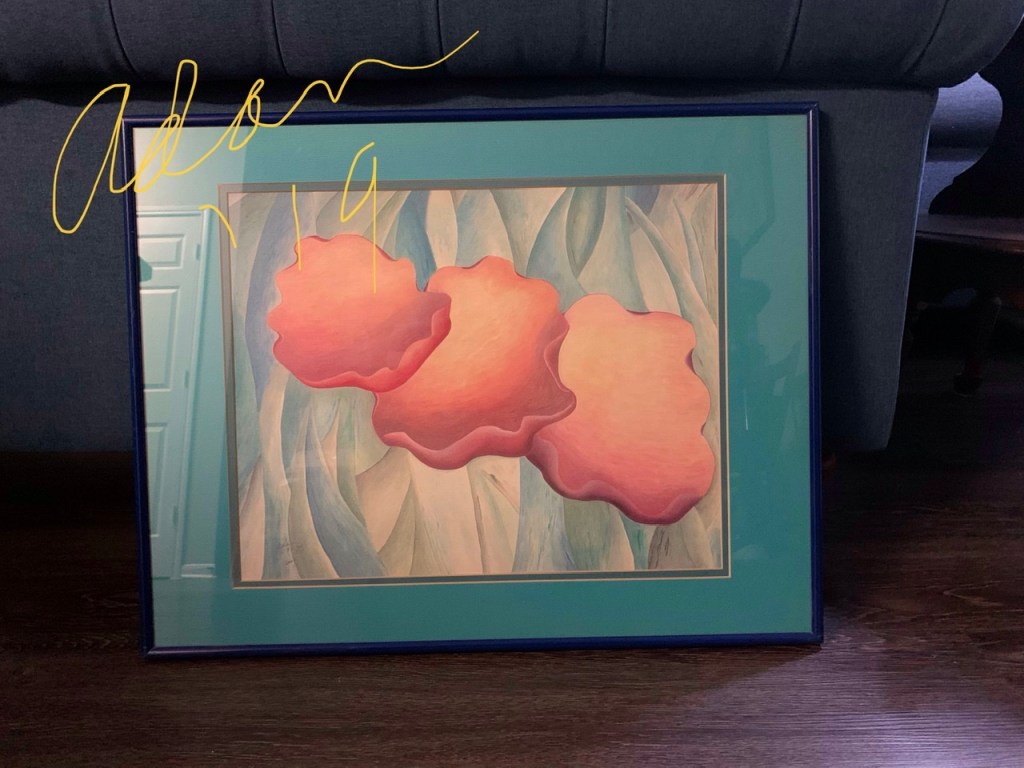 My Yesterday in Pictures for, Nov 14, 2019&nbsp;😊