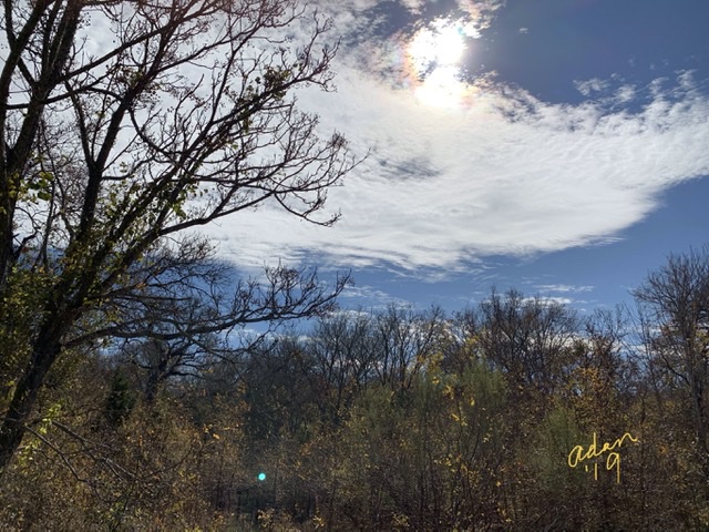Mid-day Autumn Walk South Austin Nov 25’19