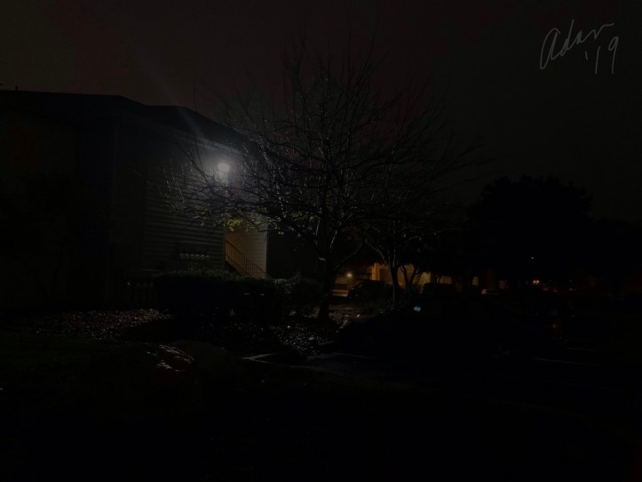 Evening Walking Nov 29’19 ©Felipe Adan Lerma