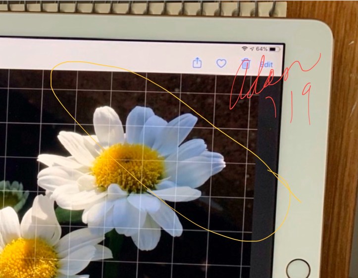 Floating Blooms Acrylic Experiment, Shaping & Movement 11.29.19 ©Felipe Adan Lerma