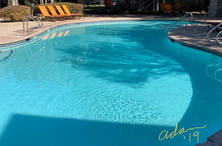 November Sunshine on the Pool ©Felipe Adan Lerma