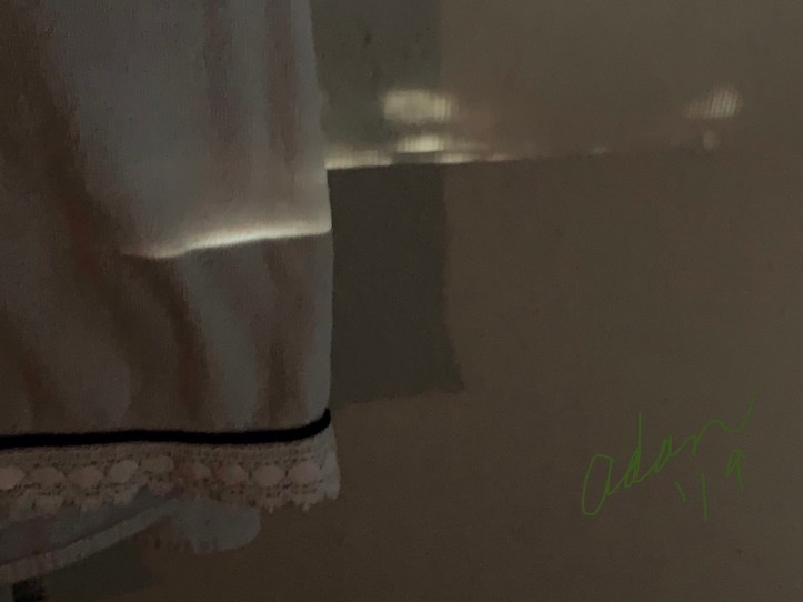 Morning Light b Nov 18’19 ©Felipe Adan Lerma