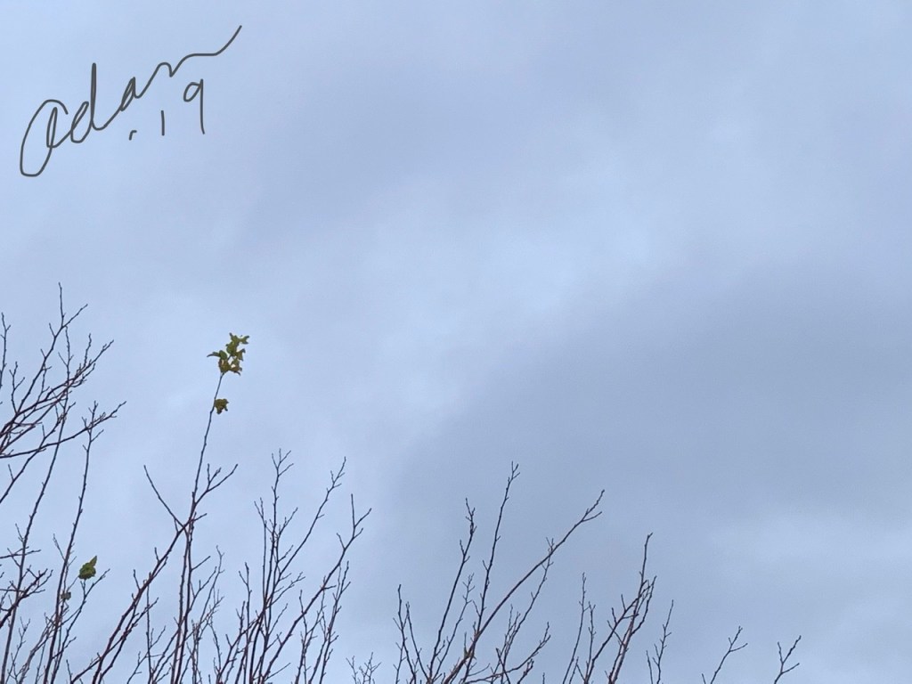 My Yesterday in Pictures for, Nov 11, 2019&nbsp;😊