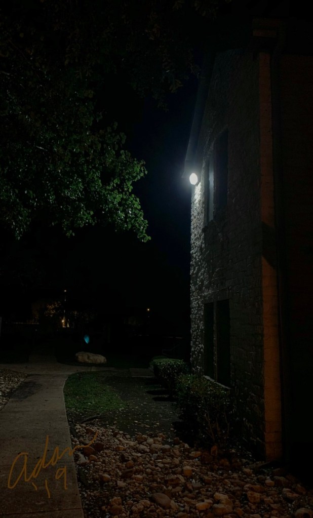 Evening Walk Nov ‘19 ©Felipe Adan Lerma