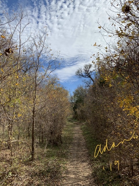 Mid-day Autumn Path Walk South Austin Nov 25’19 ©Felipe Adan Lerma