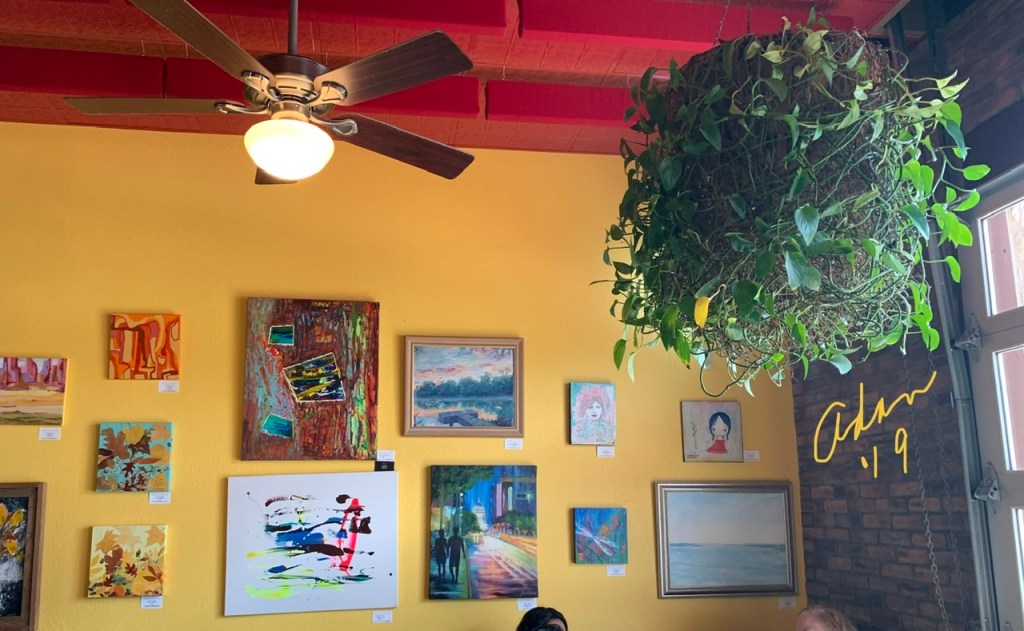 My Yesterday in Pictures for, Nov 19, 2019 😊