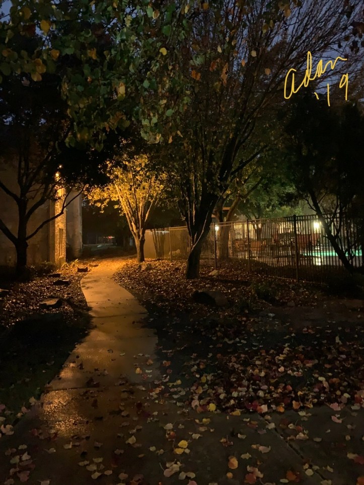 Evening Walking Nov 29’19 ©Felipe Adan Lerma