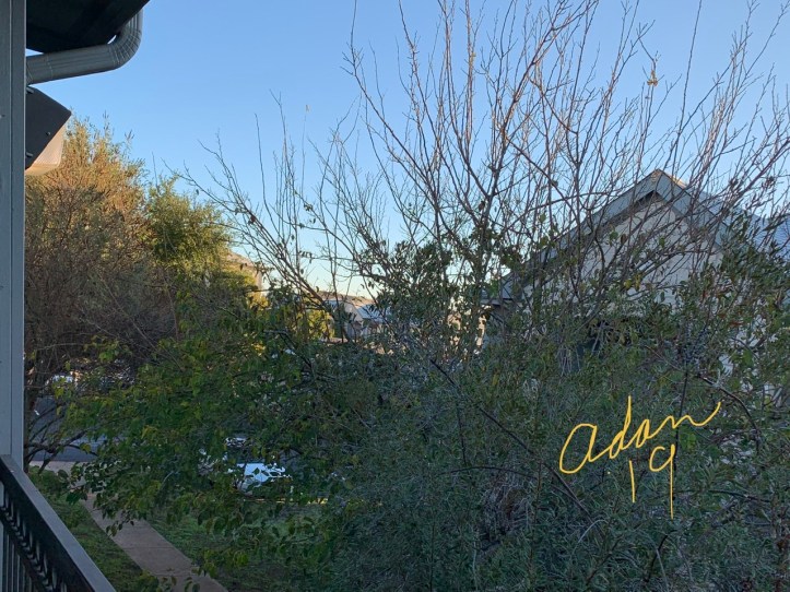 Daybreak Sunshine Austin Nov’19 ©Felipe Adan Lerma