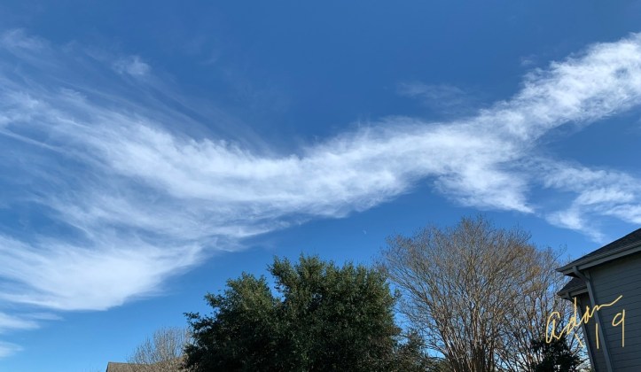 Afternoon Walk with Sheila 12.02.19 ©Felipe Adan Lerma