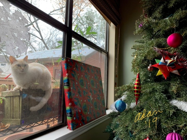 Christmas Day Gifts, Inside & Out 😊 2019 ©Felipe Adan Lerma