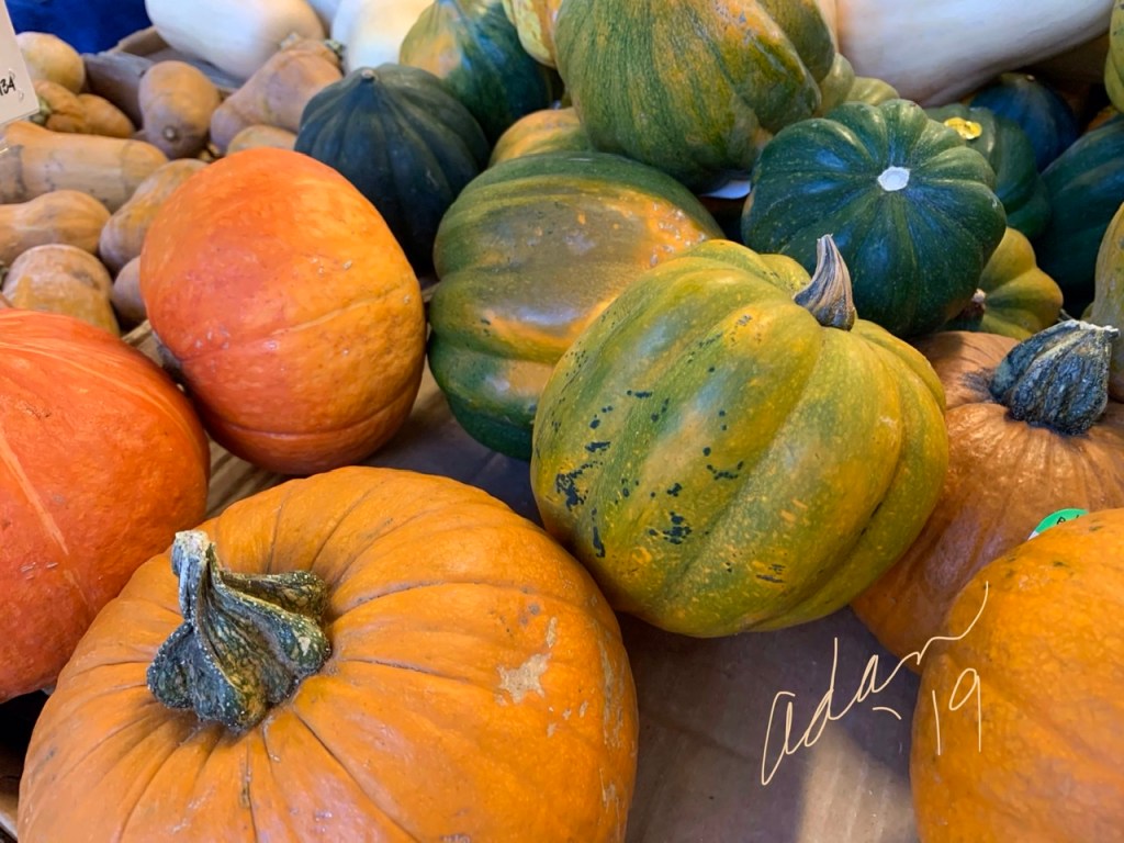 My Yesterday in Pictures for, Dec 01, 2019&nbsp;😊