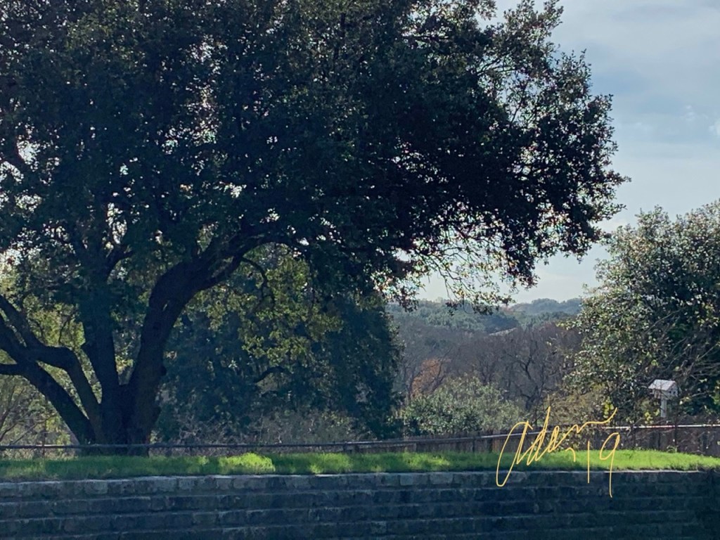 Walking in South Austin 12.05.19 pm ©Felipe Adan Lerma