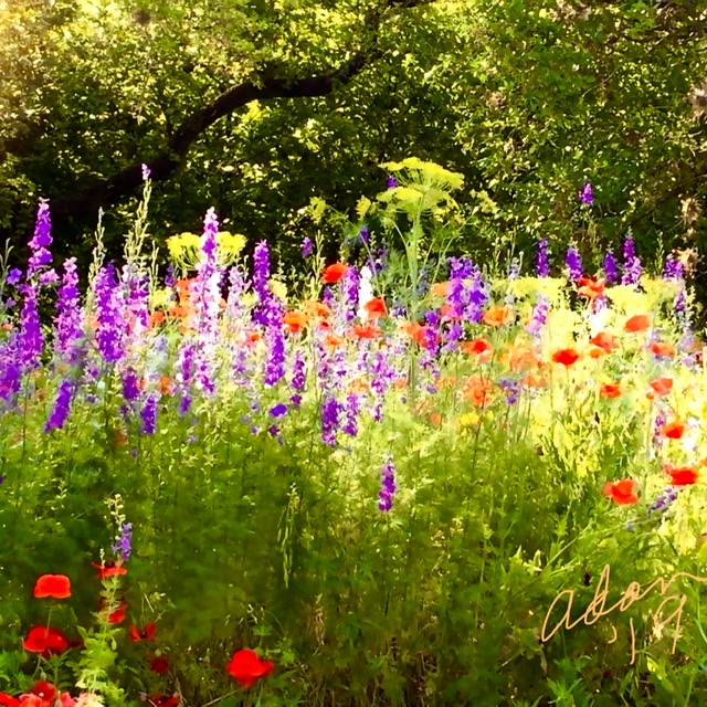 Ridges of Light squared & color adjusted 12.21.19 ©Felipe Adan Lerma