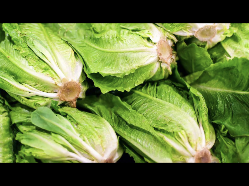 Don’t Eat Romaine Lettuce, Consumer Reports’ Experts Advise (Nov 26, 2019)
