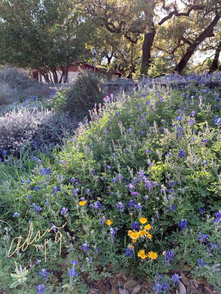 Ridges of Light photo source 12.21.19 ©Felipe Adan Lerma