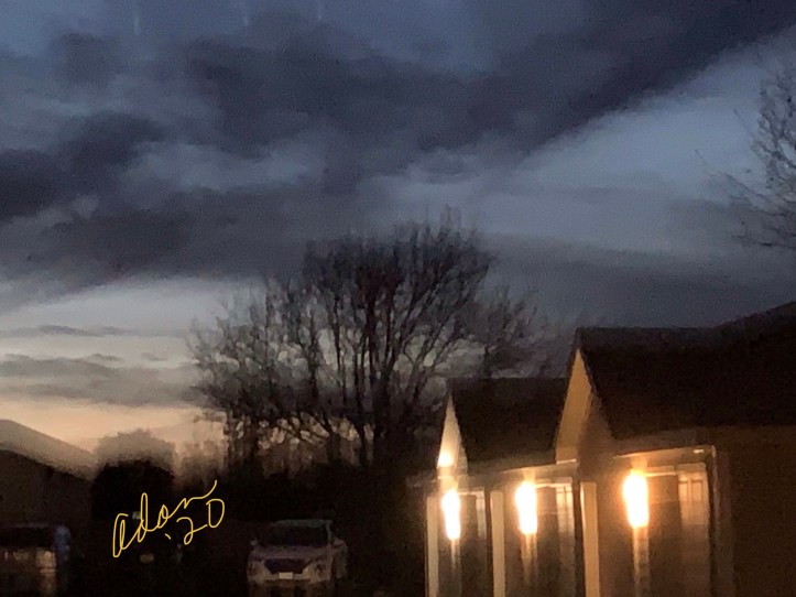 Evening in South Austin 01.20.20 ©Felipe Adan Lerma